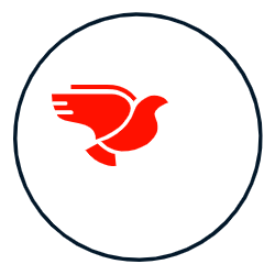 Falcons Traders
